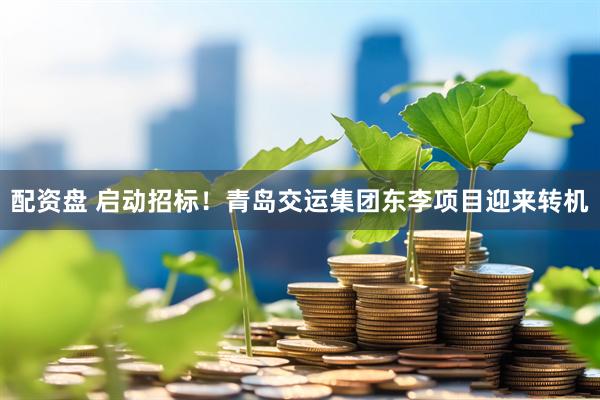 配资盘 启动招标！青岛交运集团东李项目迎来转机