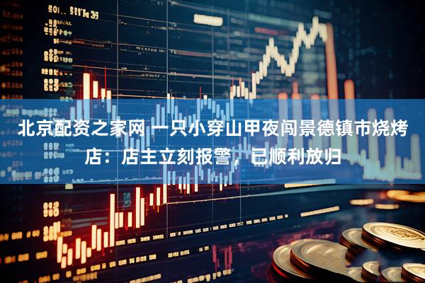 北京配资之家网 一只小穿山甲夜闯景德镇市烧烤店：店主立刻报警，已顺利放归
