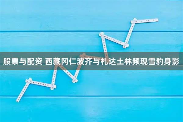 股票与配资 西藏冈仁波齐与札达土林频现雪豹身影