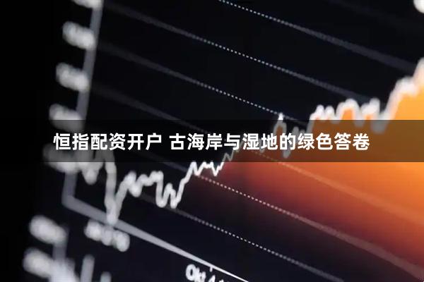 恒指配资开户 古海岸与湿地的绿色答卷